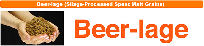 Beer-lage (Silage-Processed Spent Malt Grains)